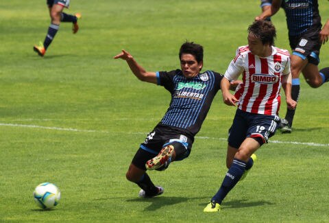 Gallitos pegan primero