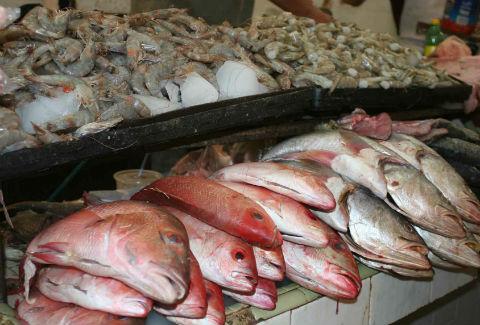 Crece 70% venta de pescado