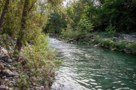 Campamentos, alternativa para disfrutar 