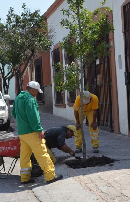 FOTO: Archivo El Universal