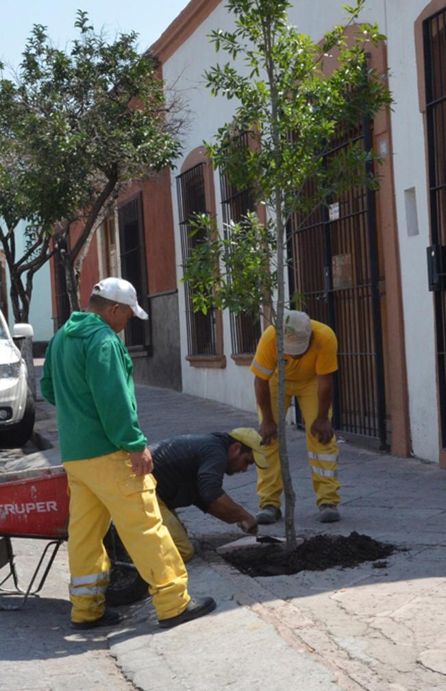 FOTO: Archivo El Universal
