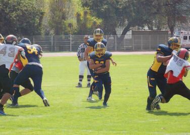 Gatos Salvajes alistan fuerzas