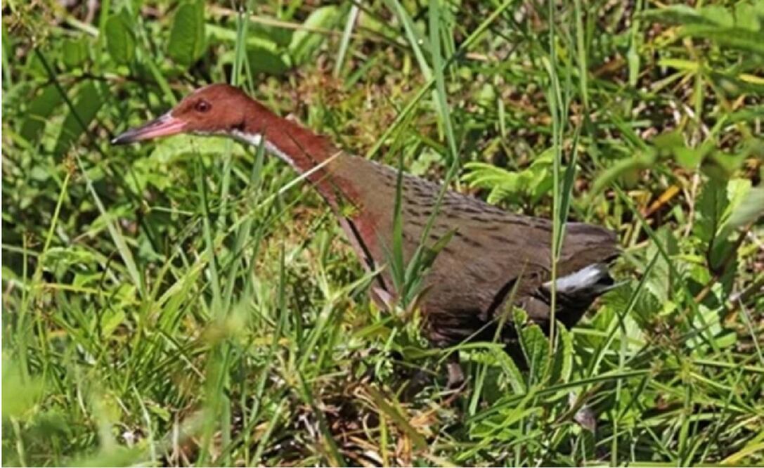 Foto: CHARLES J SHARP / Europa Press