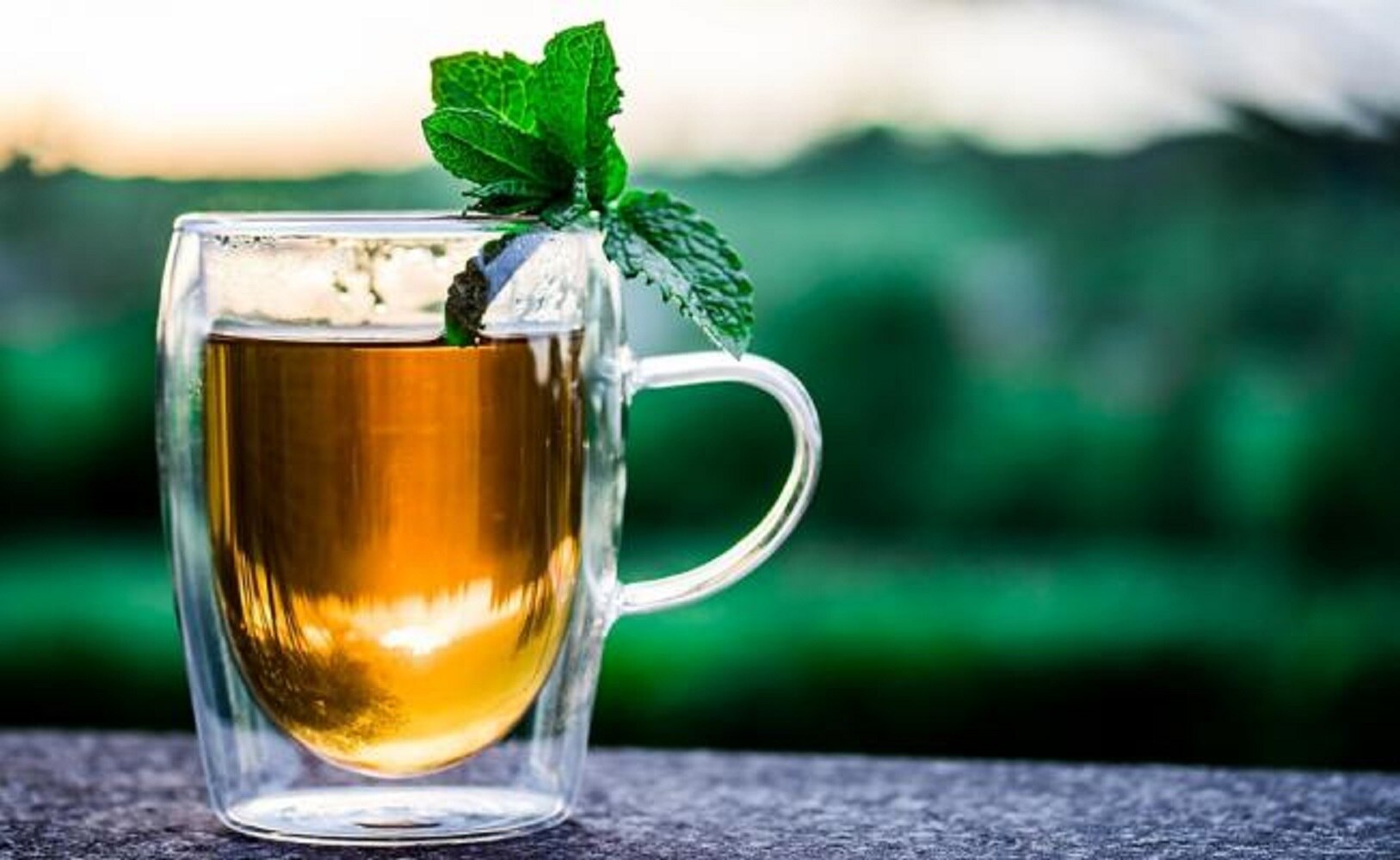 Estudios científicos le atribuyen muchos beneficios al té. (Fotos: Pixabay)