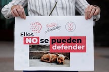 Kuri va contra el maltrato animal