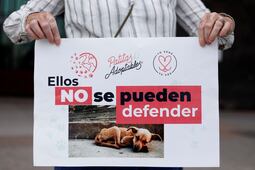 Kuri va contra el maltrato animal