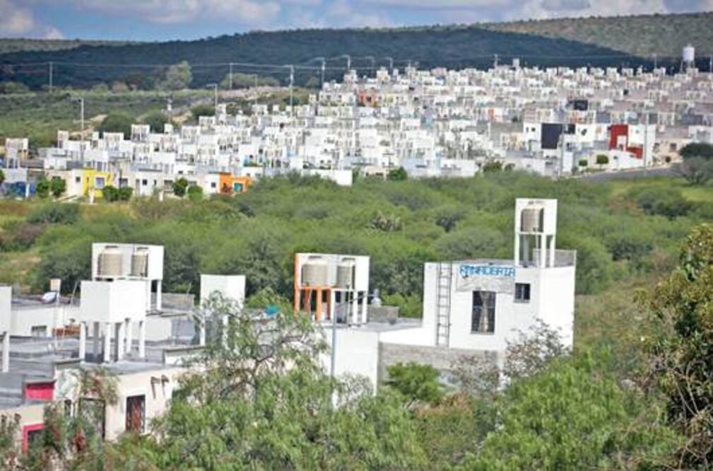 Aplican multas por derribar árboles