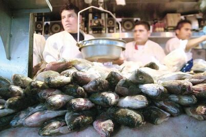 Aseguran 360 kilos de alimentos