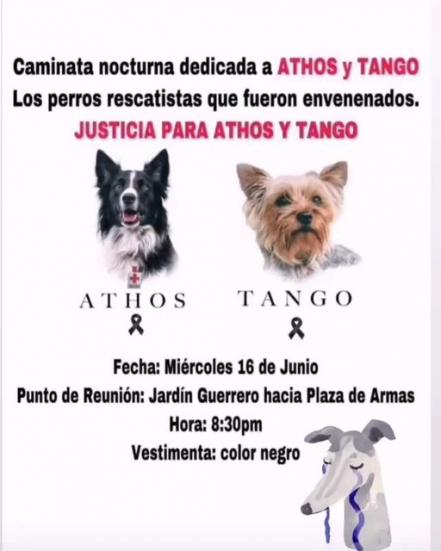 Caminarán para exigir justicia en los asesinatos de Athos y Tango 