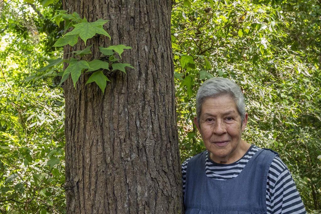 Sello Querétaro, el impuesto que busca recuperar los bosques de la Sierra Gorda