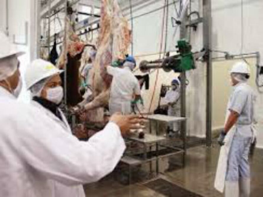 Vigilan rastros por casos de clembuterol