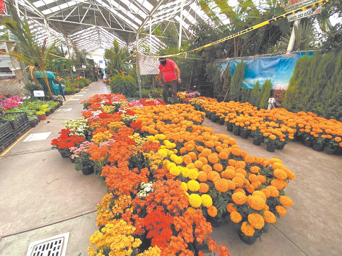 Foto: Demian Chávez