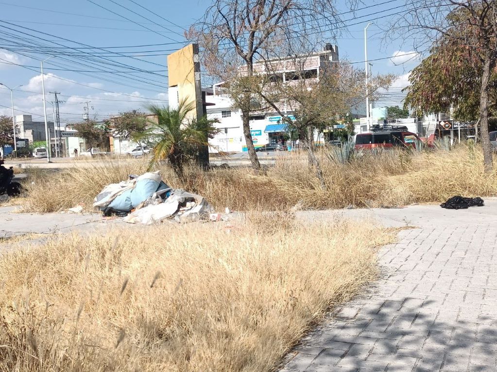 Basura y maleza ahogan a la colonia Real de la Loma. Foto: Francisco Flores