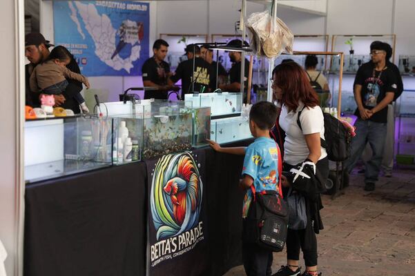 Expo Acuario reúne a 25 mil visitantes en San Juan del Río