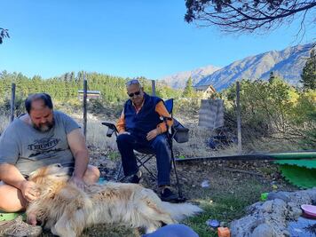 "Me urge regresar para hacer mis hemodiálisis": queretano en Argentina