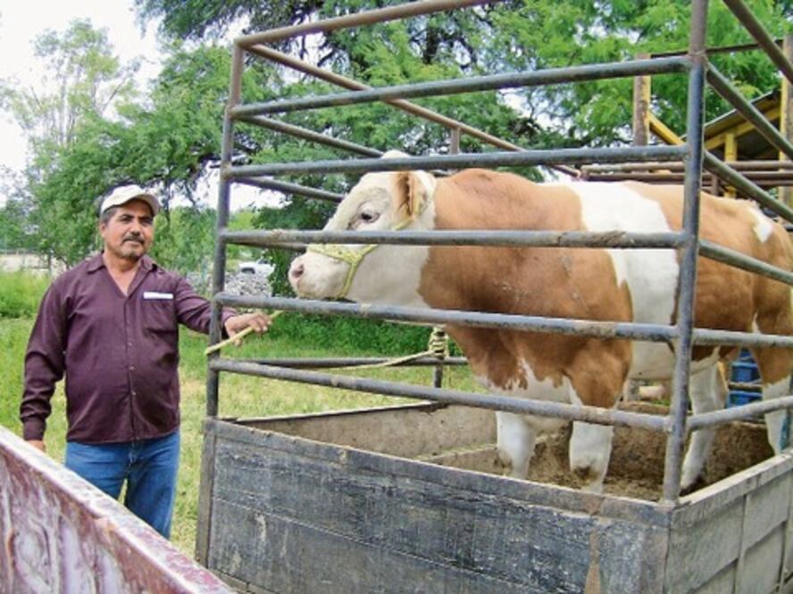 Otorgan apoyos a productores de la Sierra