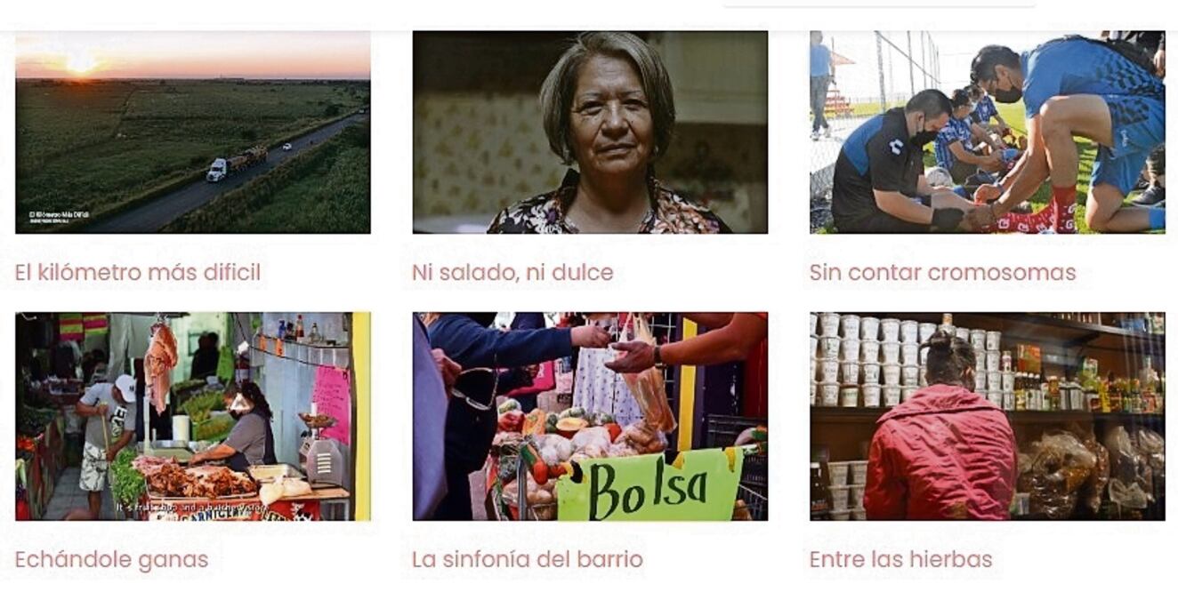 Abren convocatoria para acervo de DOQUMENTA