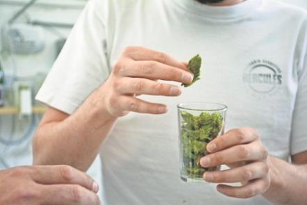 Paso a paso para decir ¡Salud!