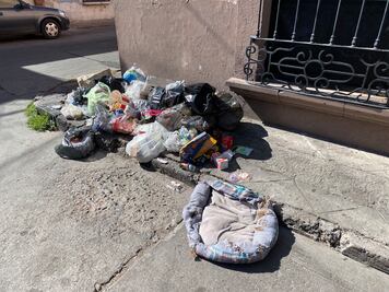 Capital recolectó más de 75 toneladas de residuos en 2022