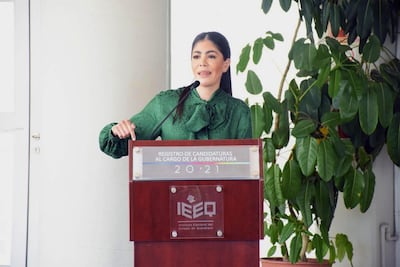 Acabaremos con problemas reales en estado, dice PVEM