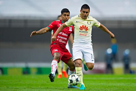 Por vuelo alto e inmaculado