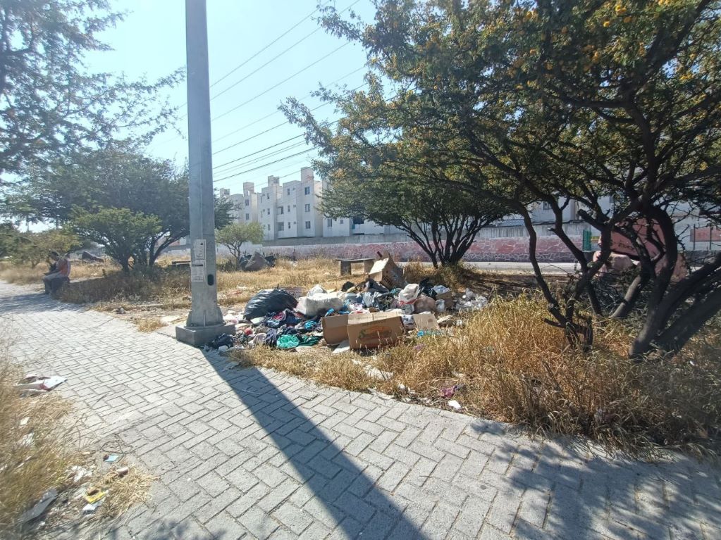 Basura y maleza en la colonia Real de la Loma. Foto: Francisco Flores