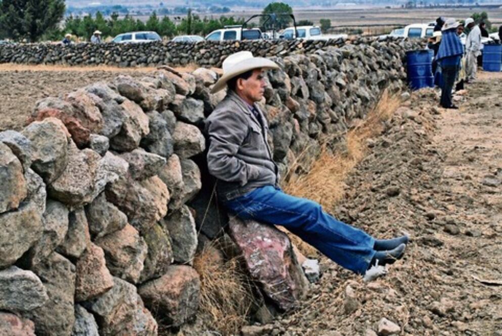 Niegan crédito al sector agro