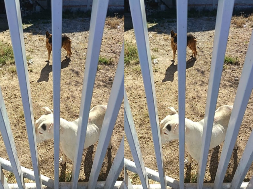 FOTO. CAPTURA DE PANTALLA