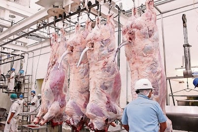 Cofepris retira sellos de clausura en rastro 