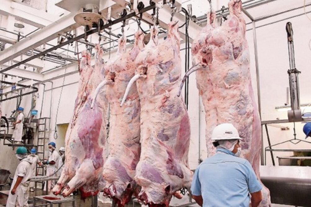 Cofepris retira sellos de clausura en rastro 