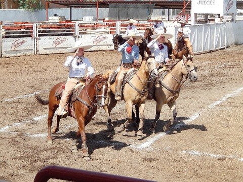Se reanuda el Estatal de Charros