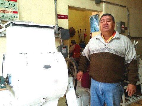 Prevén bajas ventas de maíz en molino