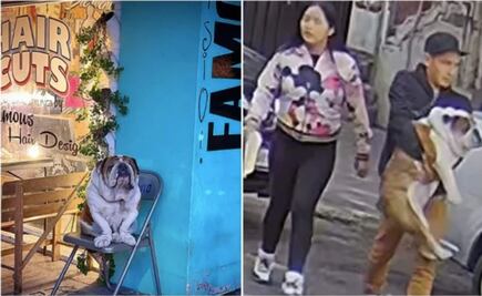Captan a pareja que se robó a "Emilio", un bulldog en la Roma