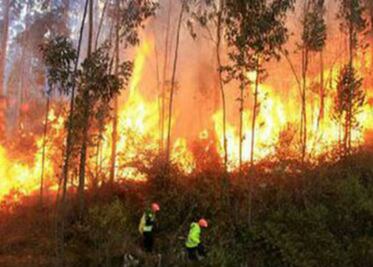 Incendio consume 40 hectáreas de Encino 