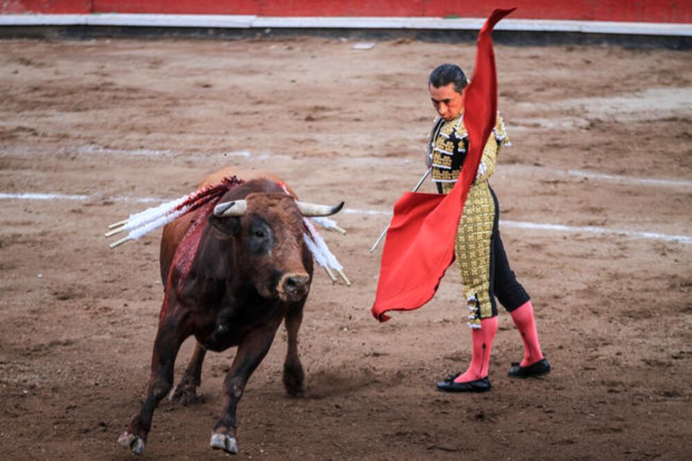 En su última presentación en tierras queretanas, Zotoluco dio cátedra con pases de buenas hechuras que encantaron a los asistentes (RICARDO LUGO. EL UNIVERSAL)