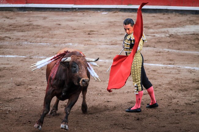 En su última presentación en tierras queretanas, Zotoluco dio cátedra con pases de buenas hechuras que encantaron a los asistentes (RICARDO LUGO. EL UNIVERSAL)
