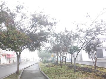 Un escenario poco usual. La neblina envuelve a Querétaro