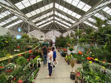 “Nunca tuvimos una temporada fuerte”