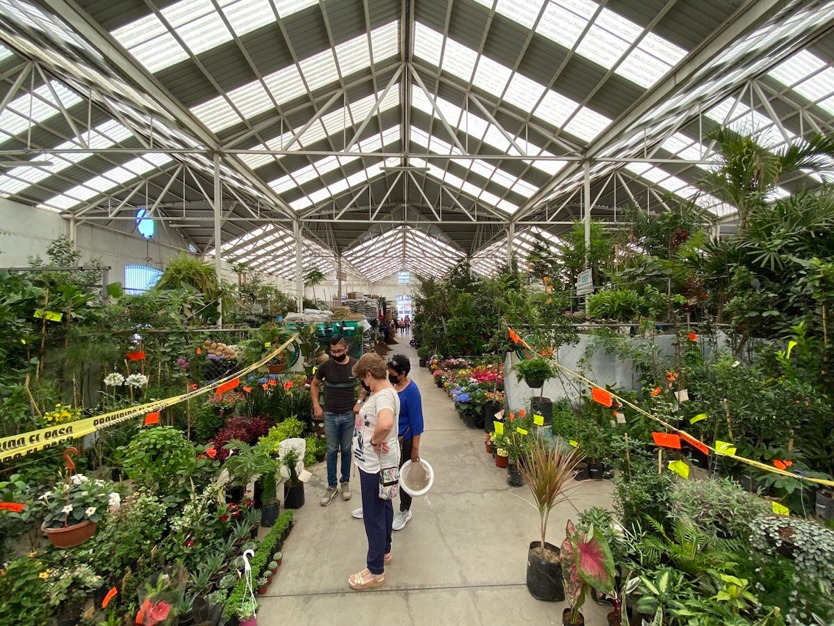 Foto: Demian Chávez