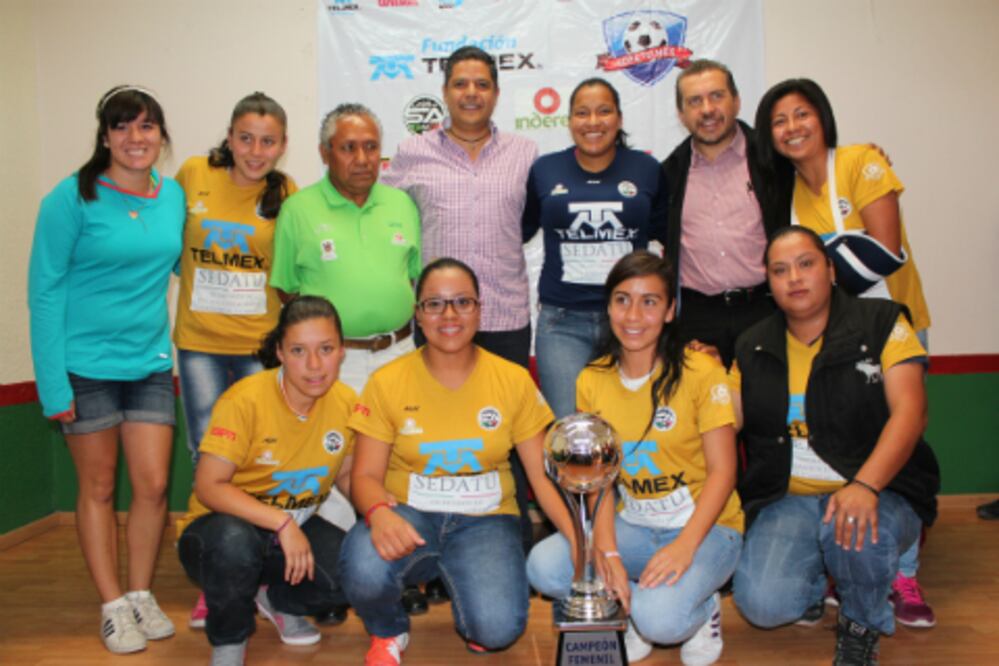 Equipos locales en nacional de Copa Telmex