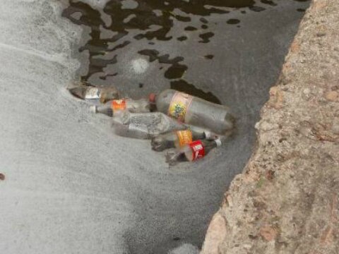 Cuesta daño al ambiente 6% del PIB