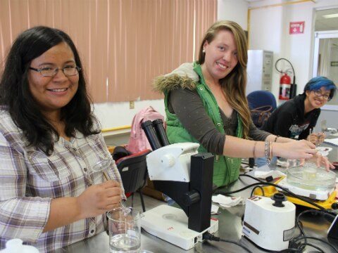 Formación individualizada 