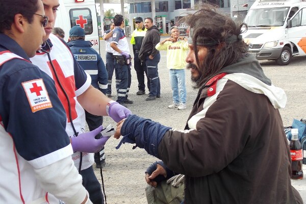 Movilizan abejas a cuerpos de rescate