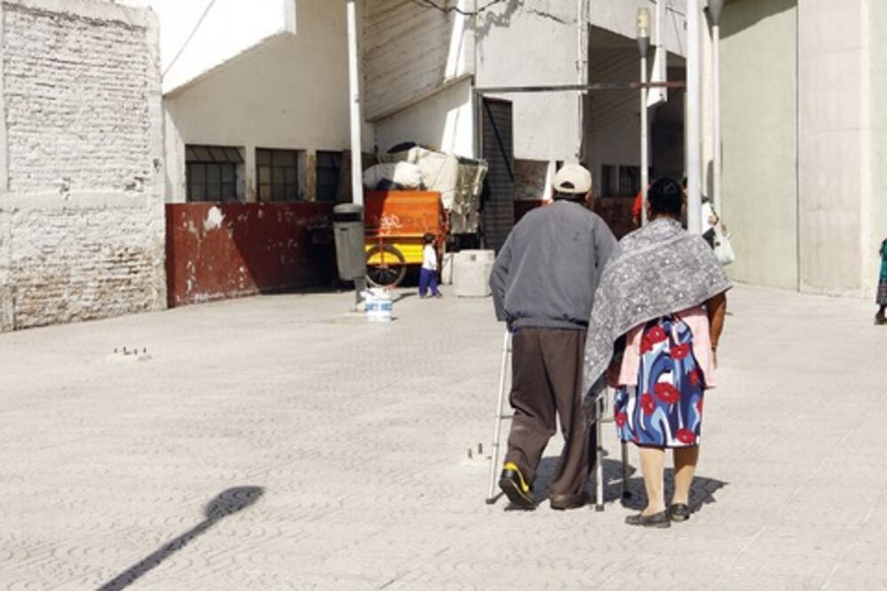 Subirán multas por maltrato