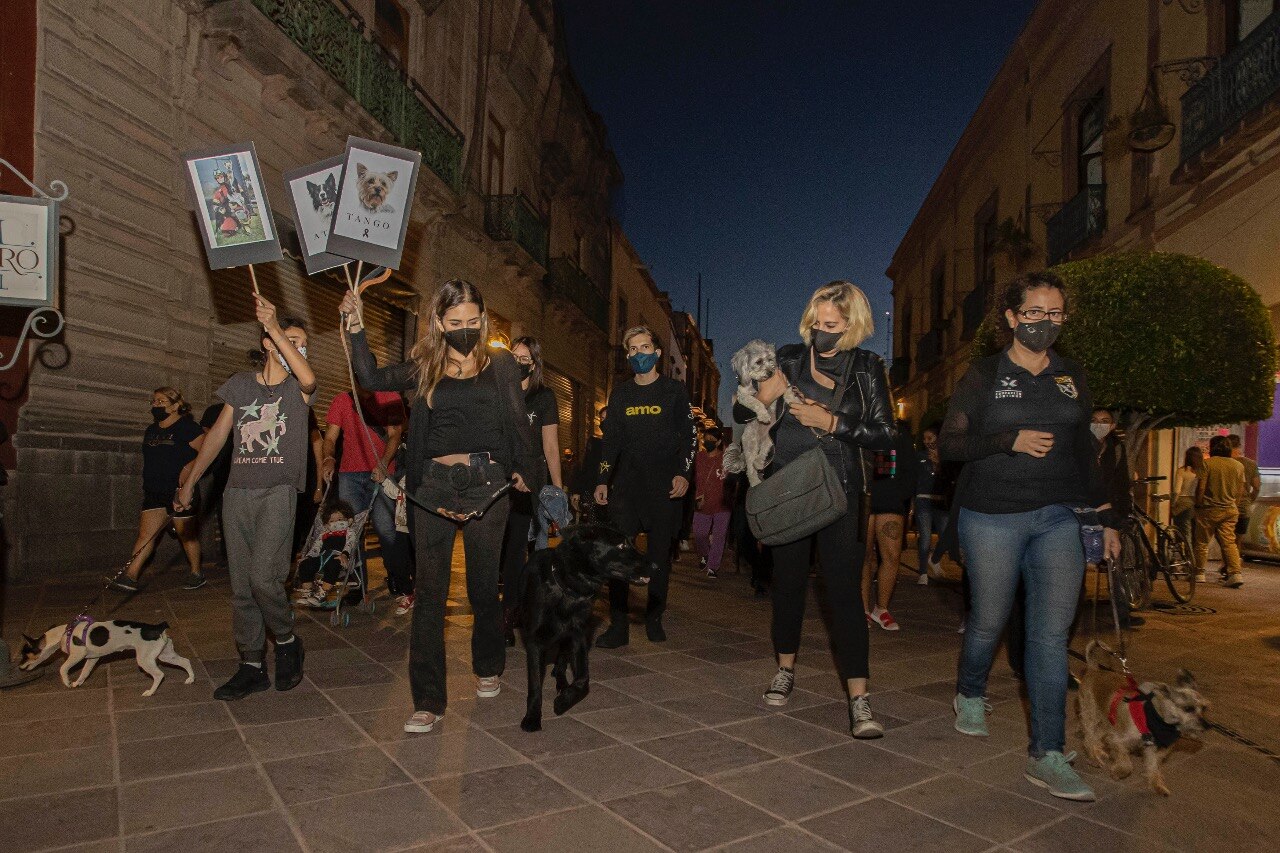Caminan y protestan por el envenenamiento de los perros Athos y Tango