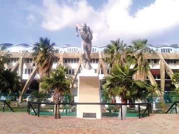 En Kingston no dan al Tri trascendencia