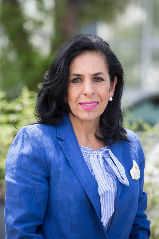 Martha Fabiola Larondo: “Sorprendieron los triunfos de Morena en Querétaro”