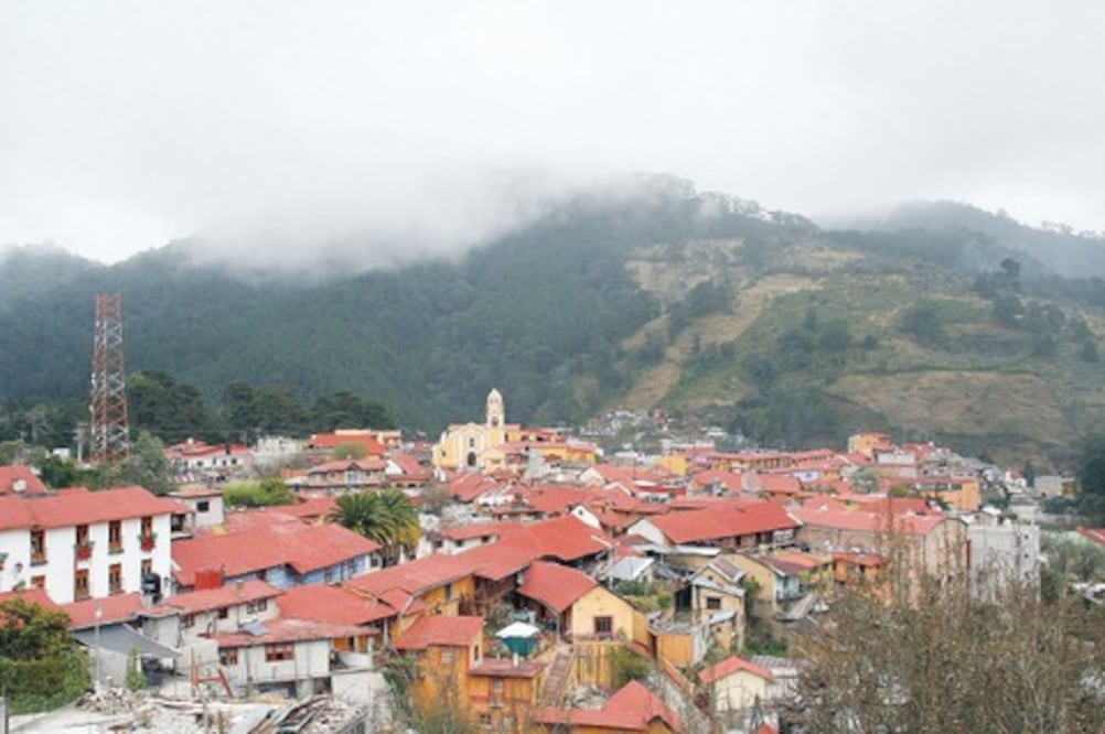 Reforestarán entidad con 80 mil árboles