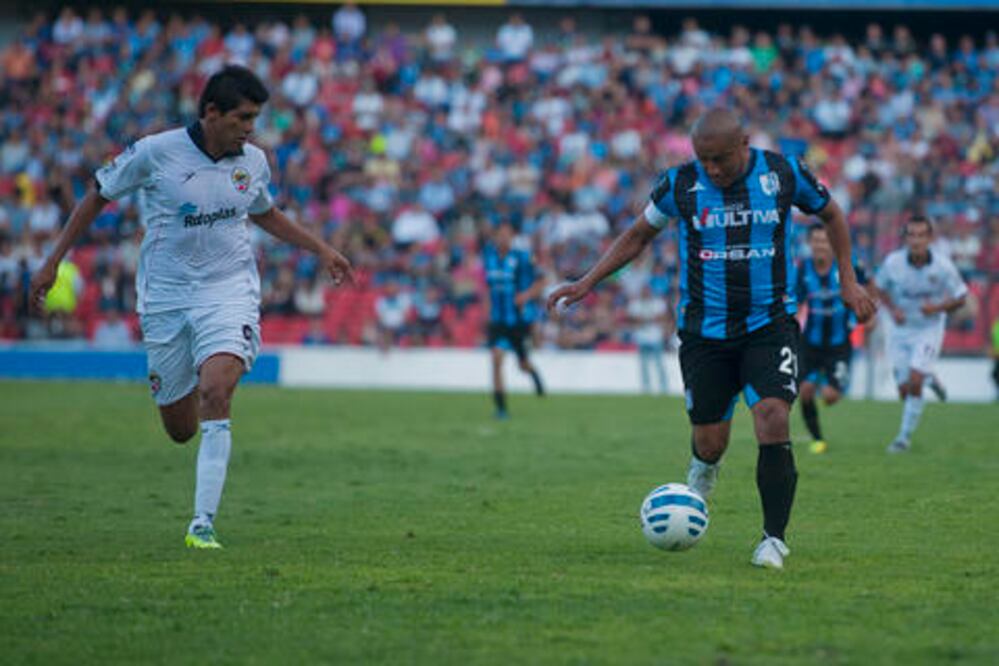 Gallos, listo para hacer historia