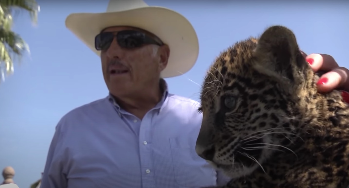 Foto: Captura de pantalla. La mansión del "pollo de Querétaro"